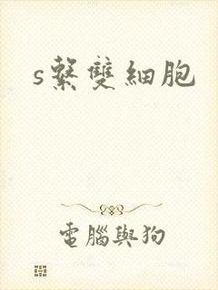 s系双细胞