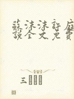 苏沫沫许庭川小说全文免费阅读