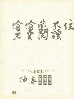 偷偷藏不住小说免费阅读