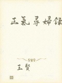 正气寻妇录