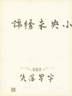 锦绣未央小说