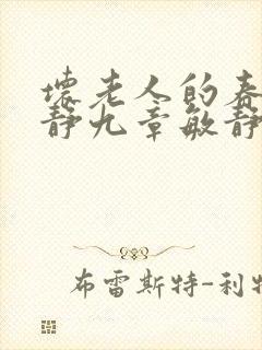 坏老人的春天敏静九章敏静封面