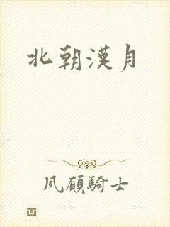 北朝汉月封面