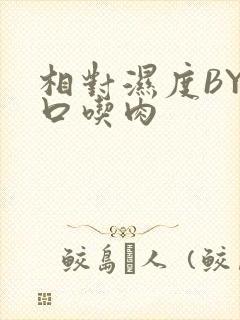 相对湿度BY大口吃肉