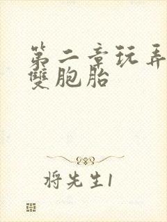 第二章玩弄少妇双胞胎封面