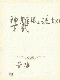 神雕风流txt下载