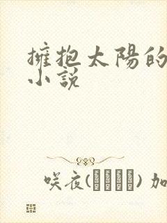 拥抱太阳的月亮小说