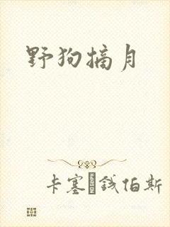 野狗摘月封面