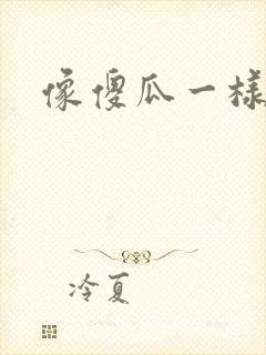 像傻瓜一样去爱封面