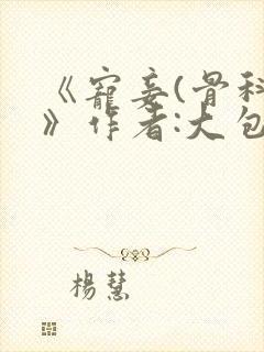 《宠妾(骨科)》作者:大包子