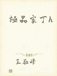 极品家丁h封面