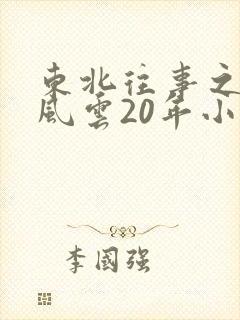 东北往事之黑道风云20年小说封面