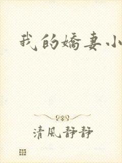 我的娇妻小说