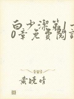 白少洁第1一40章免费阅读封面