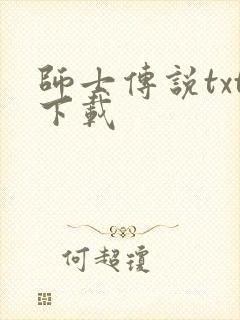 师士传说txt下载封面