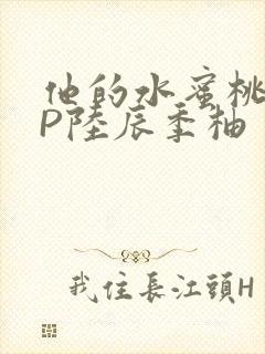 他的水蜜桃POP陆辰季柚