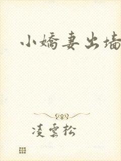 小娇妻出墙记封面