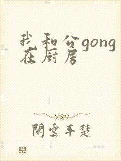 我和公gong在厨房