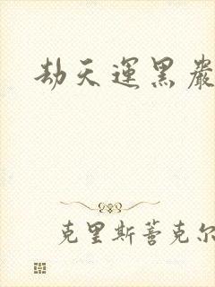 劫天运黑岩封面