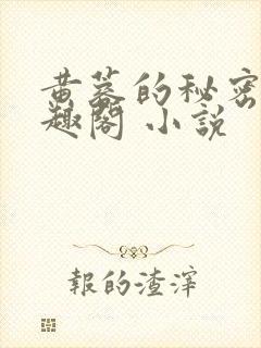 黄蓉的秘密 笔趣阁 小说封面