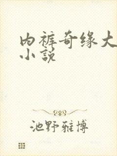 内裤奇缘大团结小说