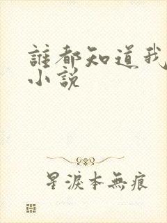 谁都知道我爱你小说