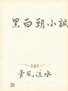 黑白朝小诚