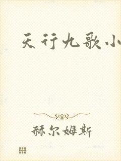 天行九歌小说