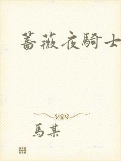 蔷薇夜骑士