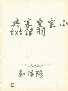 共享皇家小公主txt银羽