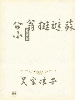 公翁挺进苏玥的小泬