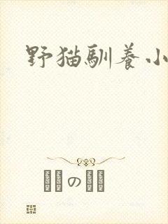 野猫驯养小说