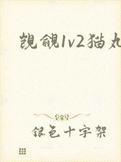 觊觎1v2猫丸