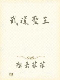 武道圣王