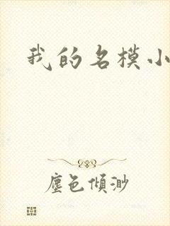 我的名模小娇妻封面