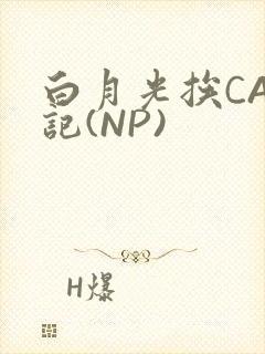 白月光挨CAO记(NP)