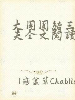 大团圆结三女一夫全文阅读封面