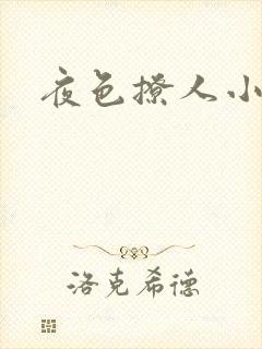 夜色撩人小说