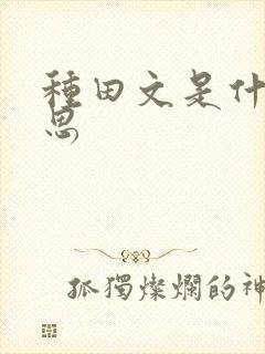 种田文是什么意思