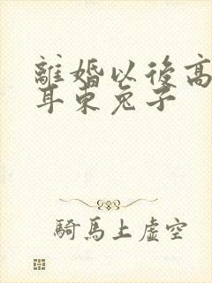 离婚以后高干 耳东兔子