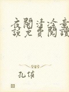 夜阑清冷意欢小说免费阅读封面