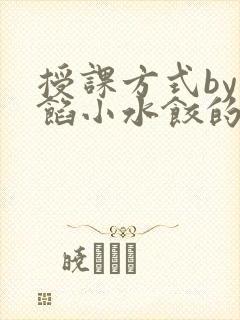 授课方式by肉馅小水饺的作者封面