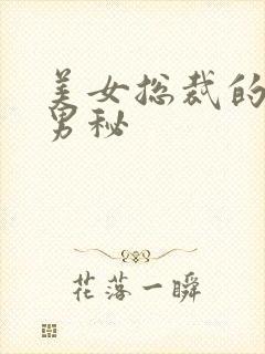 美女总裁的贴身男秘封面