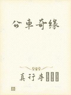 公车奇缘