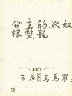 公主的欲奴h四根双龙