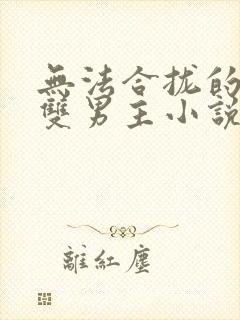 无法合拢的总裁双男主小说