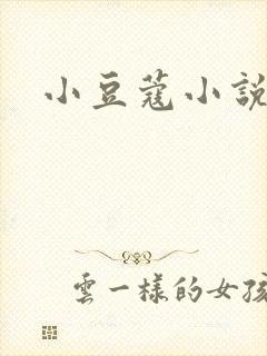 小豆蔻小说