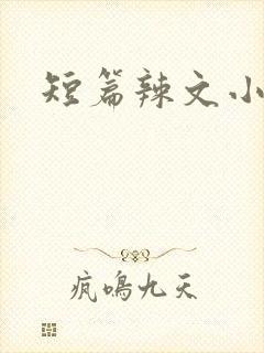 短篇辣文小说