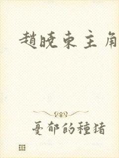 赵晓东主角小说