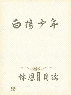 白杨少年